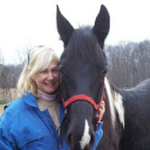 Meet your Posher, Dawn